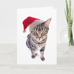 Bad Santa Cat Christmas Card