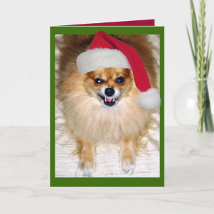 Bad Santa Christmas Card