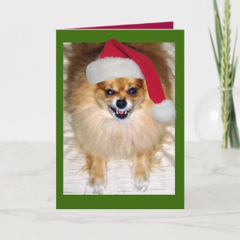 Bad Santa Christmas Card by sequindreams at Zazzle
