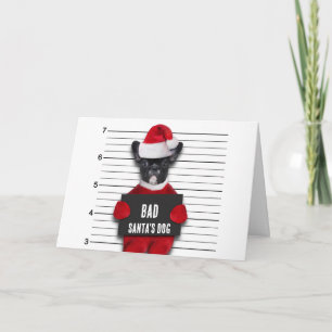 Bad Santa's Dog Mugshot Funny Christmas Card