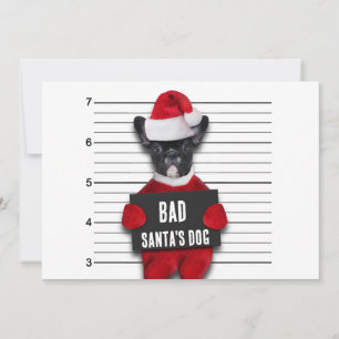 Bad Santa's Dog Mugshot Funny Christmas Holiday Card