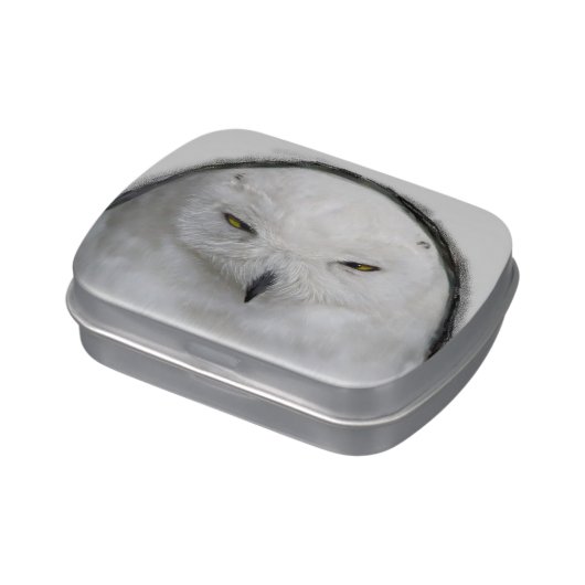 Bad tempered Snowy owl Candy Tin (Side)
