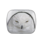 Bad tempered Snowy owl Candy Tin (Top)