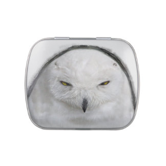 Bad tempered Snowy owl Candy Tin