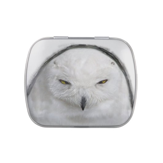 Bad tempered Snowy owl Candy Tin (Top)