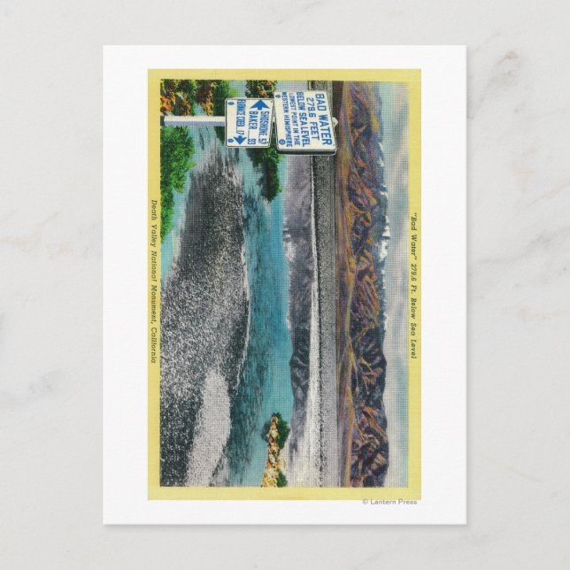 Bad Water at Death Valley National Monument Postcard (Front)
