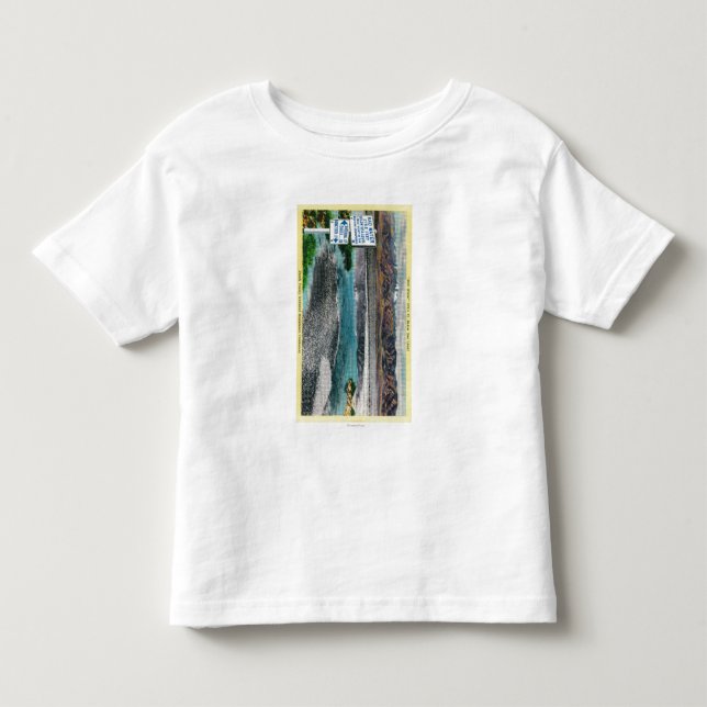 Bad Water at Death Valley National Monument Toddler T-shirt (Front)