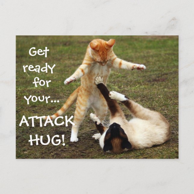 Badass Cats - Attack hug Postcard (Front)