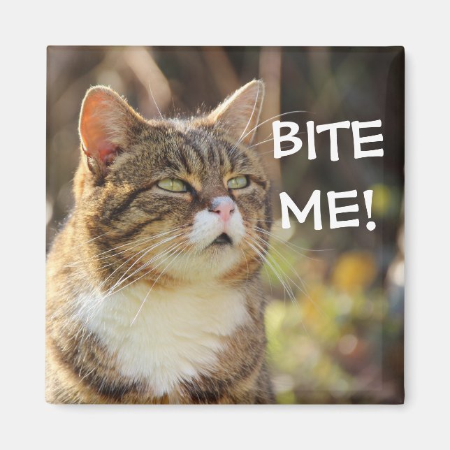 Badass Cats - "BITE ME!" Magnet (Front)