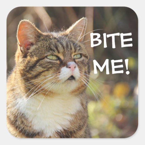 Badass Cats _ BITE ME Square Sticker
