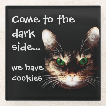 Badass Cats - "dark Side Has Cookies"  Glass Coaster by DippyDoodle at Zazzle