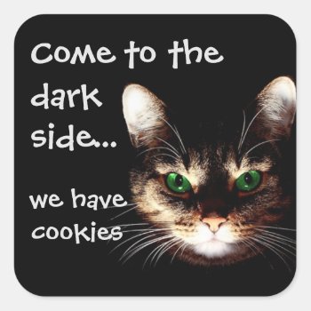 Badass Cats - "dark Side Has Cookies" Square Sticker by DippyDoodle at Zazzle