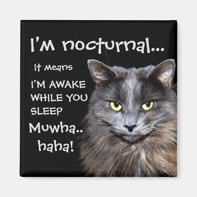 Badass Cats - "I'm nocturnal.." Magnet (Front)