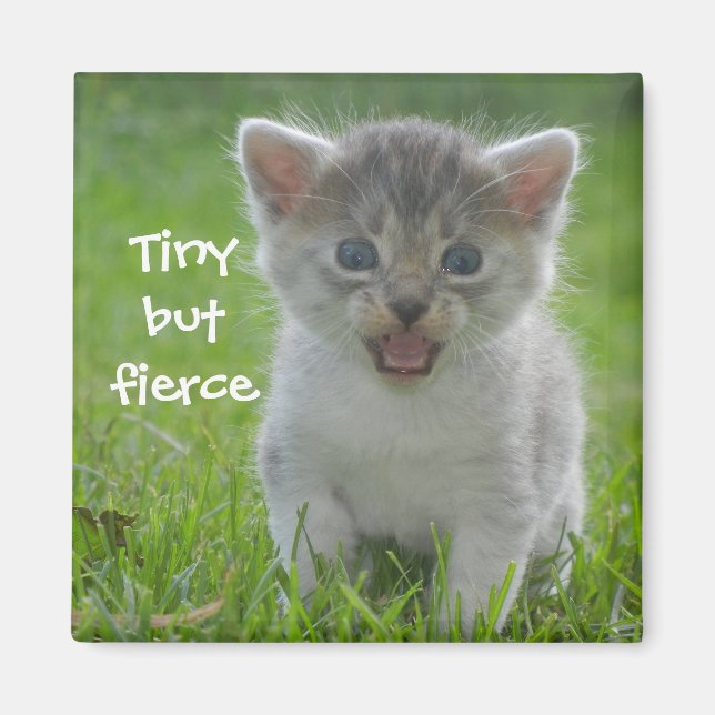 Badass Cats - "Tiny but Fierce" Magnet (Front)