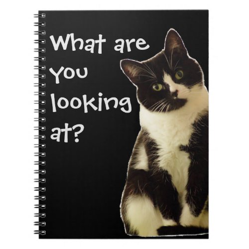 Badass Cats  What are you looking at  Notebook