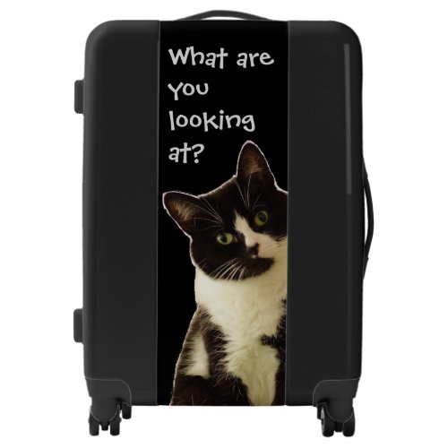 Badass Cats What are you looking Luggage