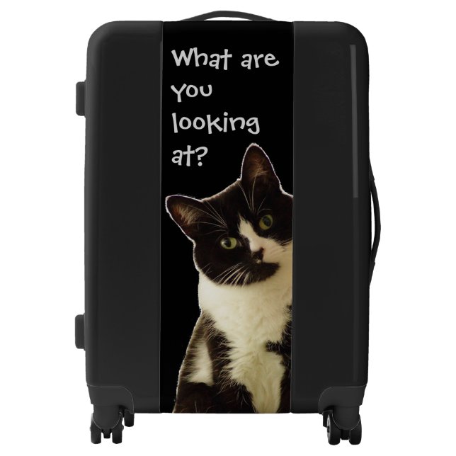 Badass Cats "What are you looking.." Luggage (Front)
