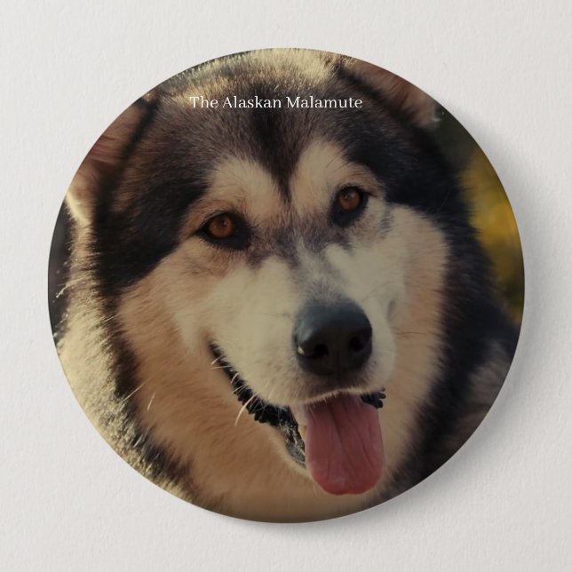 Badge Button (Front)