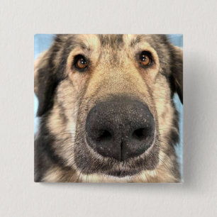 Badge Dog Button