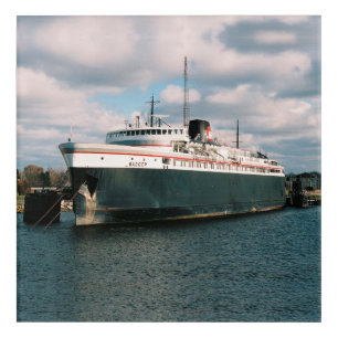 Badger acrylic wall art