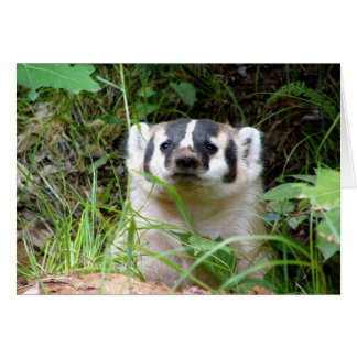 badger cards