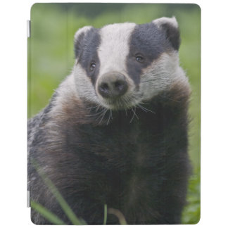 Badger iPad Cover (all models)