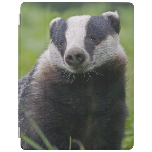 Badger iPad Cover (all models) (Front)