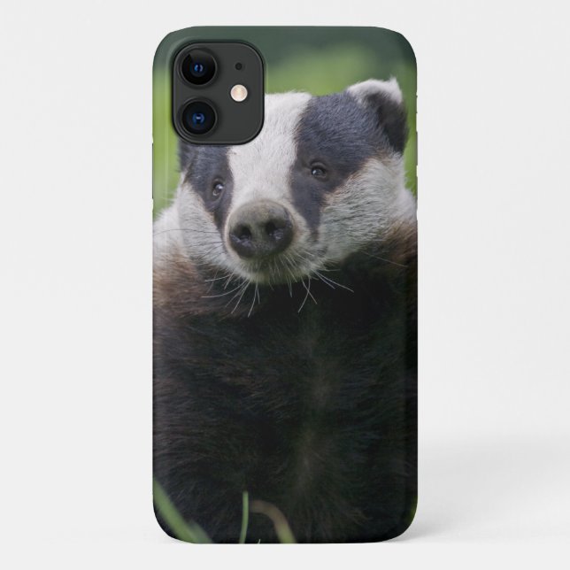 Badger iPhone 11 Case (Back)