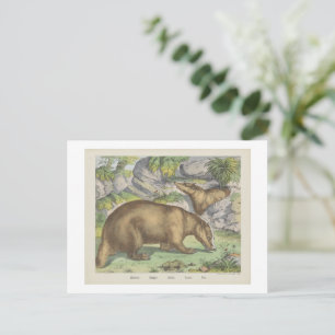 BADGER Joseph Scholz, 1829 - 1880   Postcard