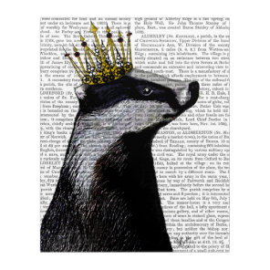 Badger King Acrylic Print