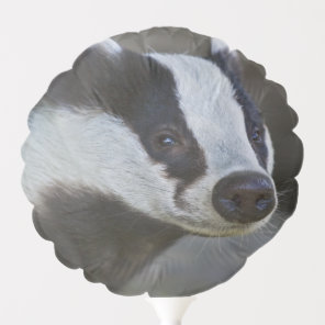 Badger Portrait Balloon