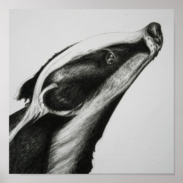 Badger Print (Front)