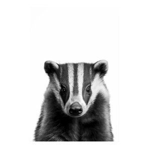 Badger Woodland Modern Portrait black white   Poster