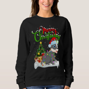 Badger Xmas Decorations Santa Badger Christmas Sweatshirt