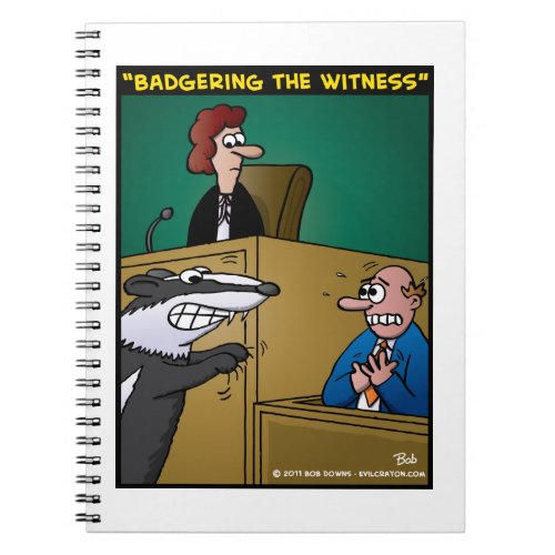 Badgering The Witness Notebook