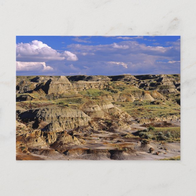 Badlands at Dinosaur Provincial Park in Alberta, 2 Postcard (Front)
