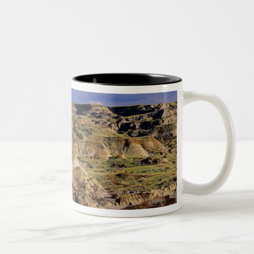Badlands at Dinosaur Provincial Park in Alberta 2 Two_Tone Coffee Mug