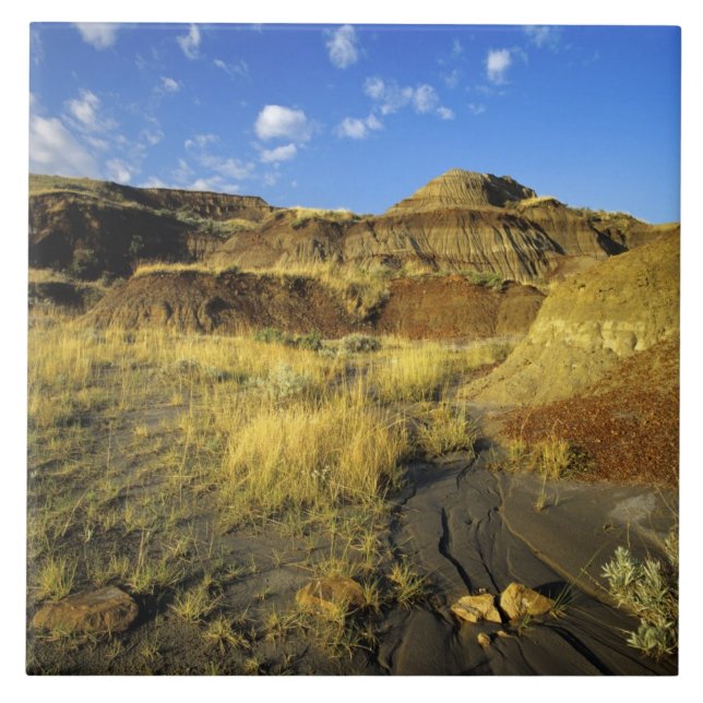 Badlands at Dinosaur Provincial Park in Alberta, Ceramic Tile (Front)
