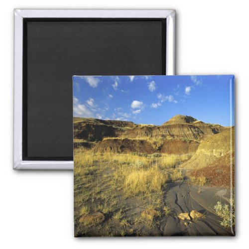 Badlands at Dinosaur Provincial Park in Alberta Magnet