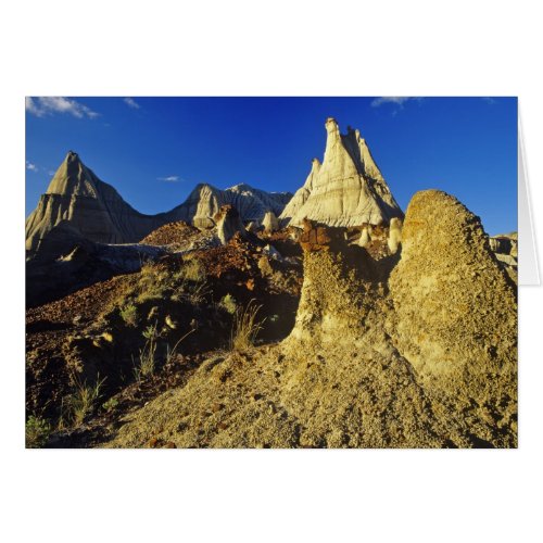 Badlands formations at Dinosaur Provincial Park 2