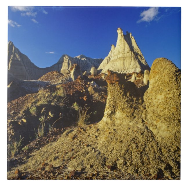 Badlands formations at Dinosaur Provincial Park 2 Tile (Front)