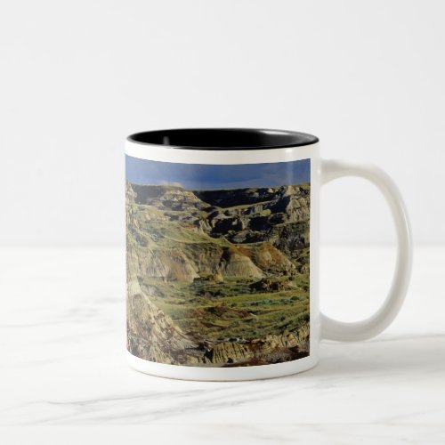 Badlands formations at Dinosaur Provincial Park 4 Two_Tone Coffee Mug