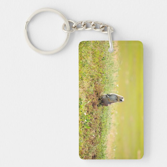 Badlands of North Dakota Keychain (Front)