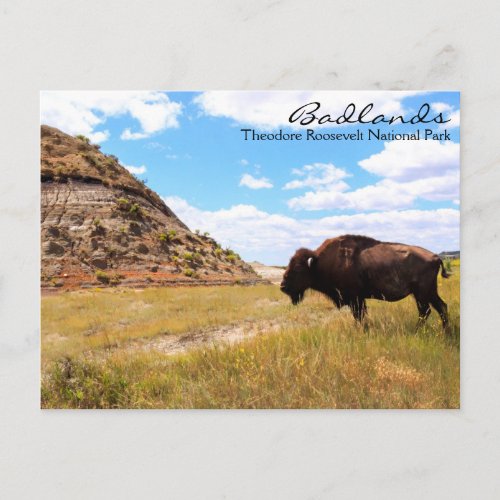 Badlands of North Dakota Postcard