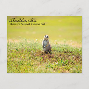 Badlands of North Dakota Postcard