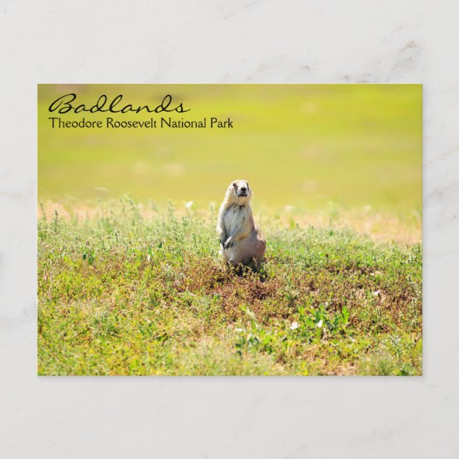 Badlands of North Dakota Postcard (Front)