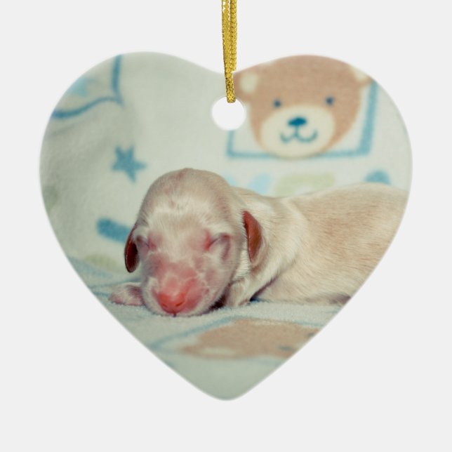 Bae Newborn-Lovebugdoxies puppy keepsake Ceramic Ornament (Front)