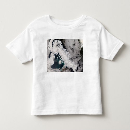 Baffin Island Toddler T_shirt