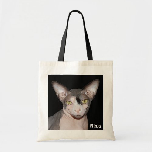 Bag  Black and White Sphynx Cat