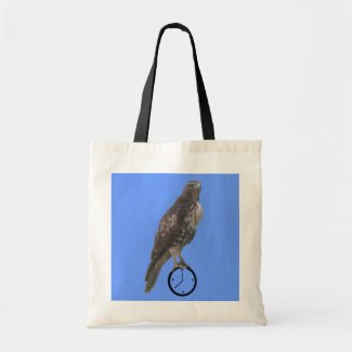 Bag - Falcon on clock